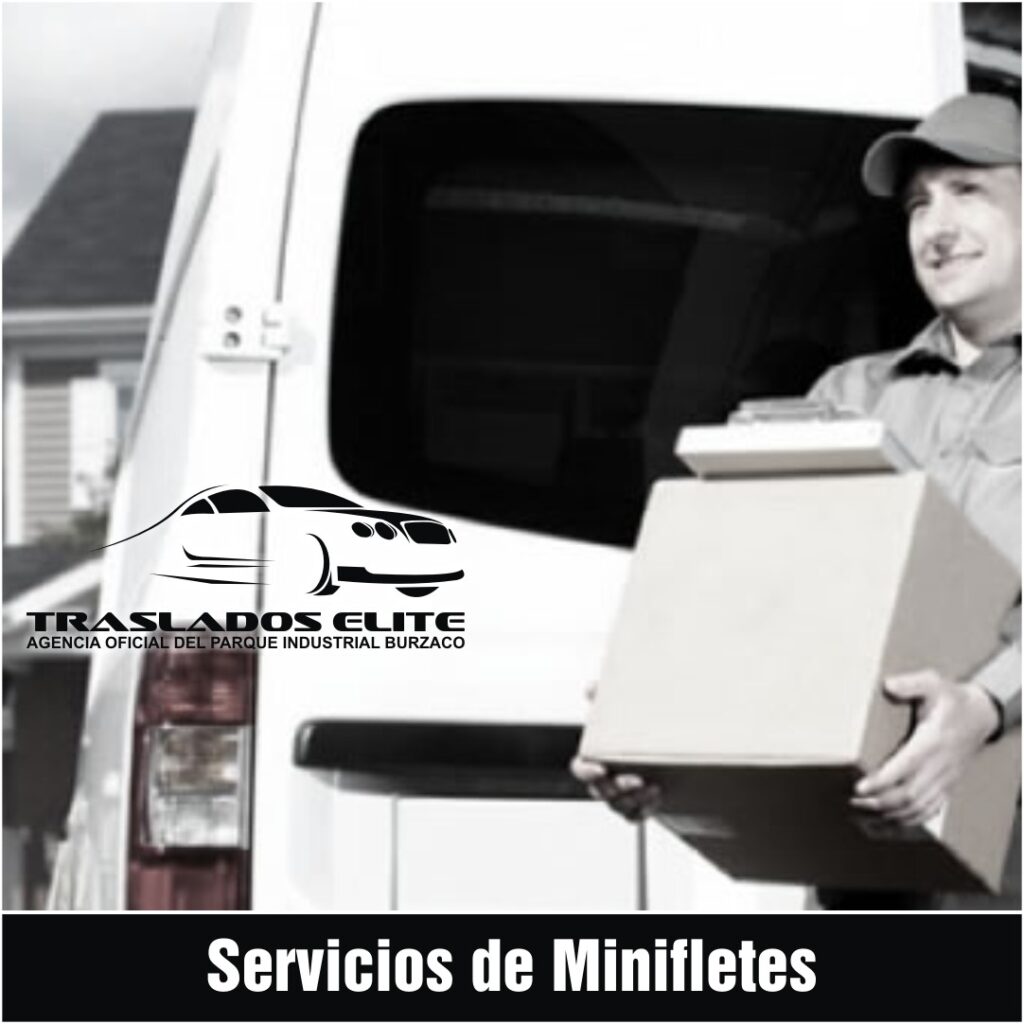 Servicios de Minifletes